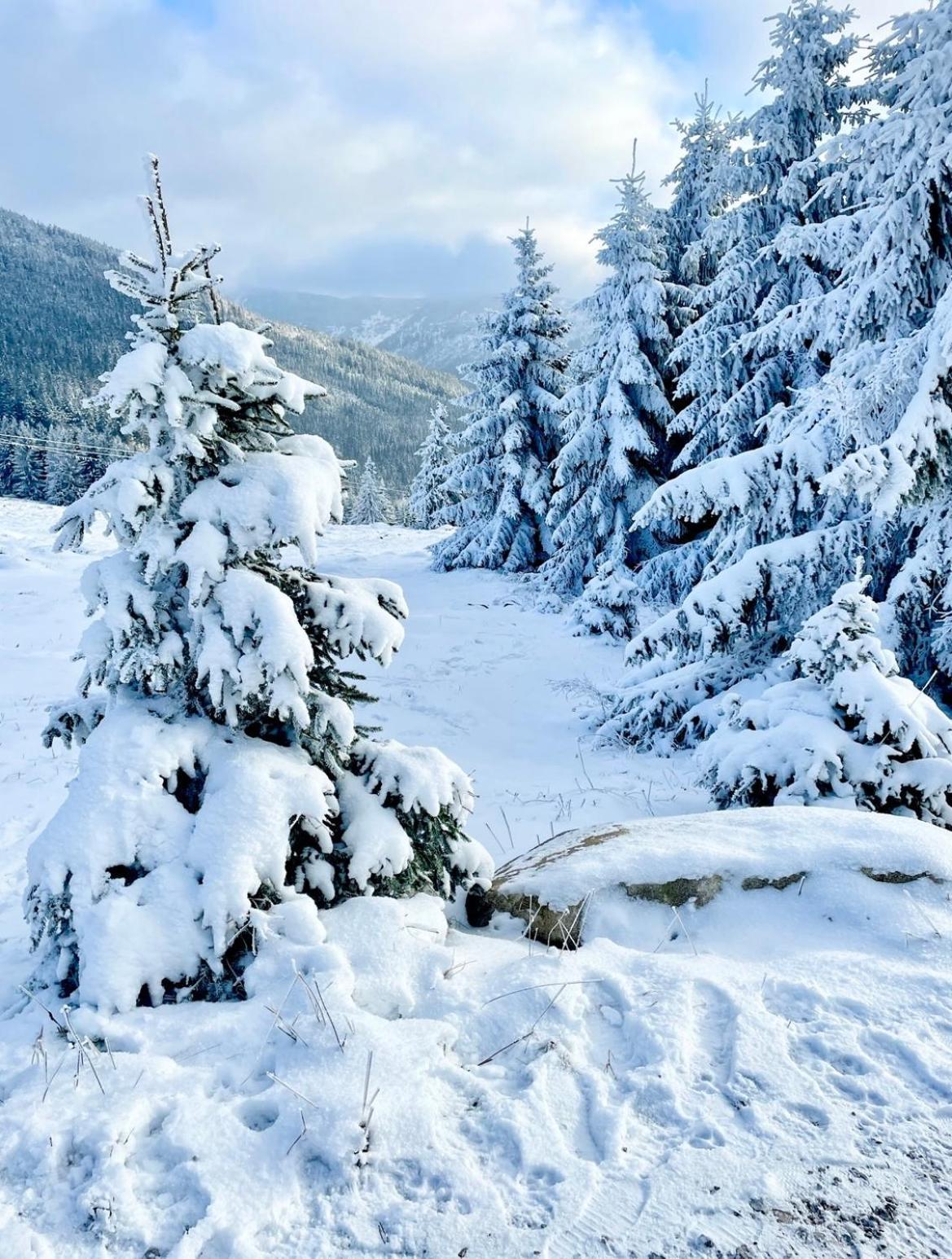 Apartment Lilly Spindleruv Mlyn Bagian luar foto